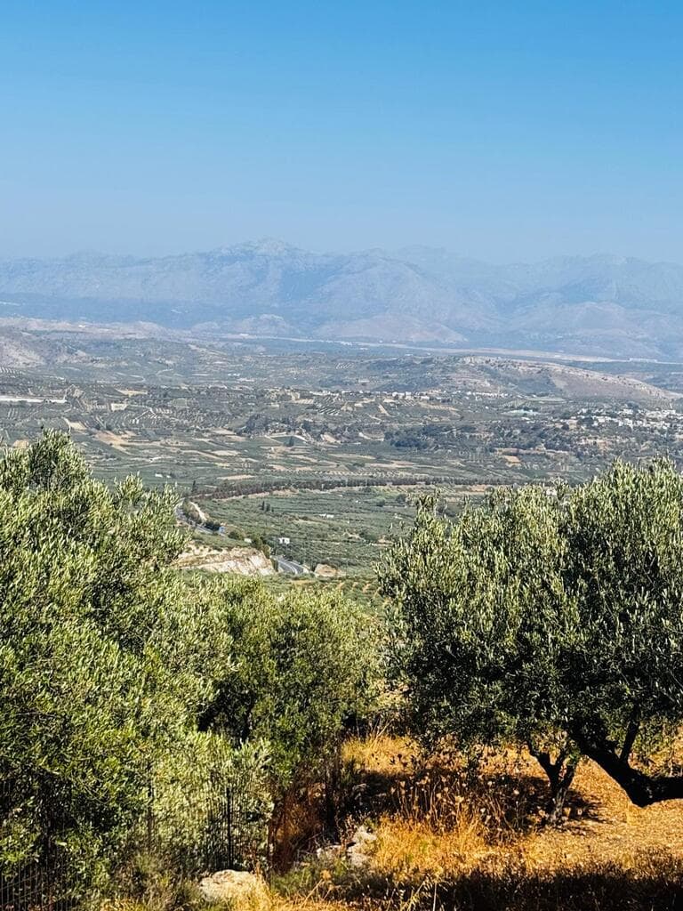For Sale Land 2500 m² in Crete