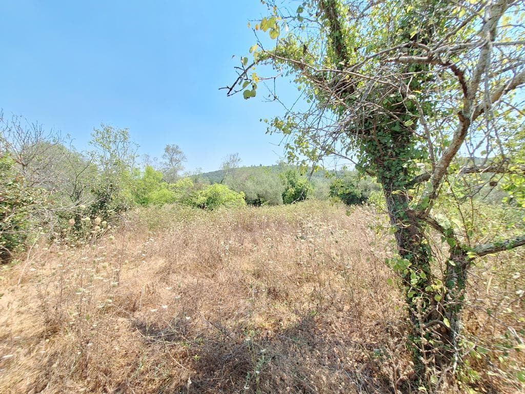 For Sale Land 3400 m² in Corfu