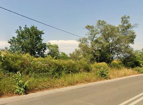 For Sale Land 8350 m² in Corfu