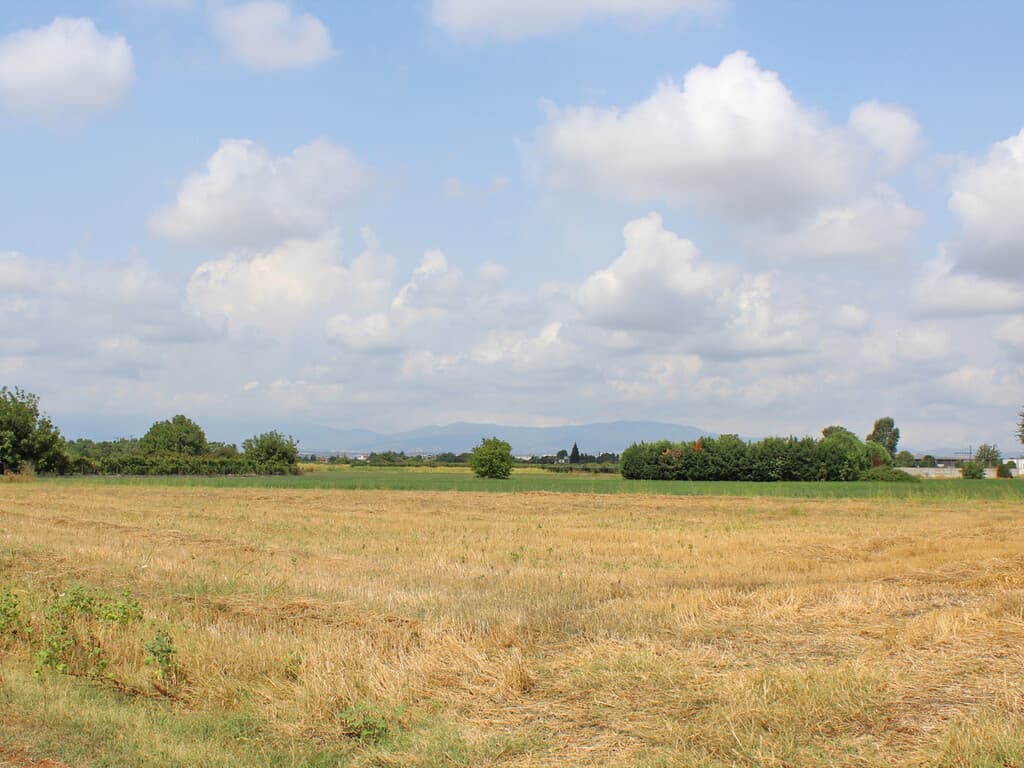 For Sale Land 13750 m² on the Olympic Coast