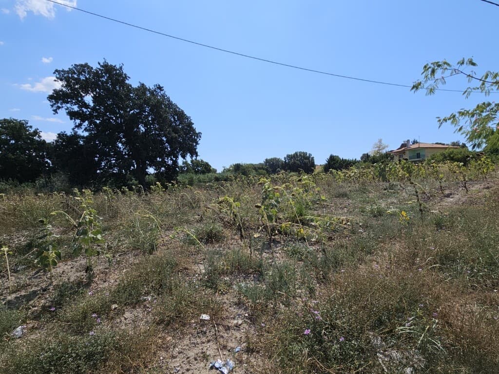 For Sale Land 1000 m² in Kassandra, Chalkidiki