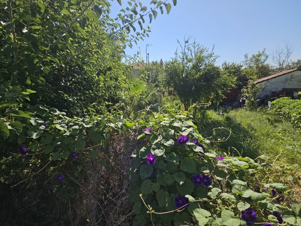For Sale Land 94 m² in Kassandra, Chalkidiki