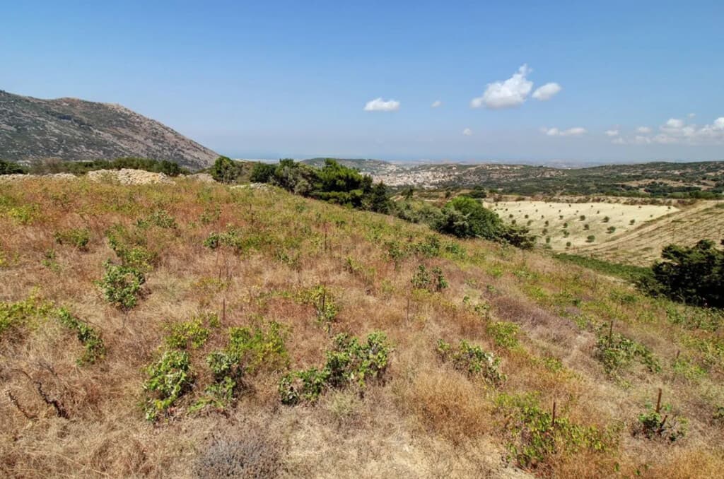 For Sale Land 5172 m² in Crete