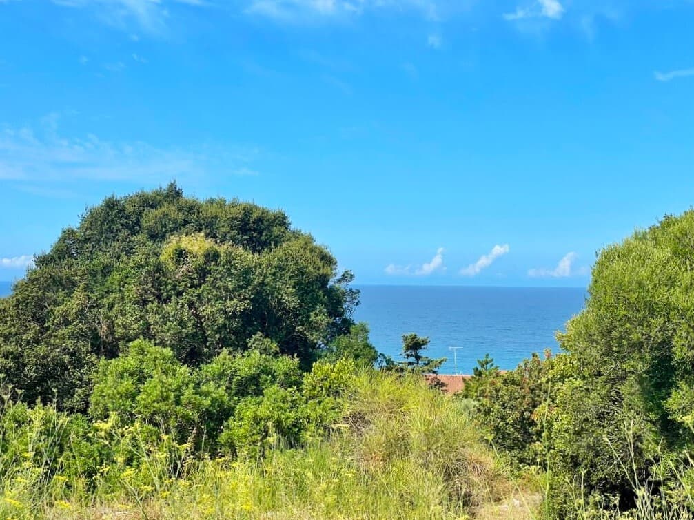 For Sale Land 4012 m² in Corfu