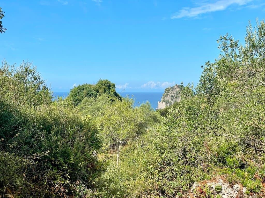 For Sale Land 4162 m² in Corfu