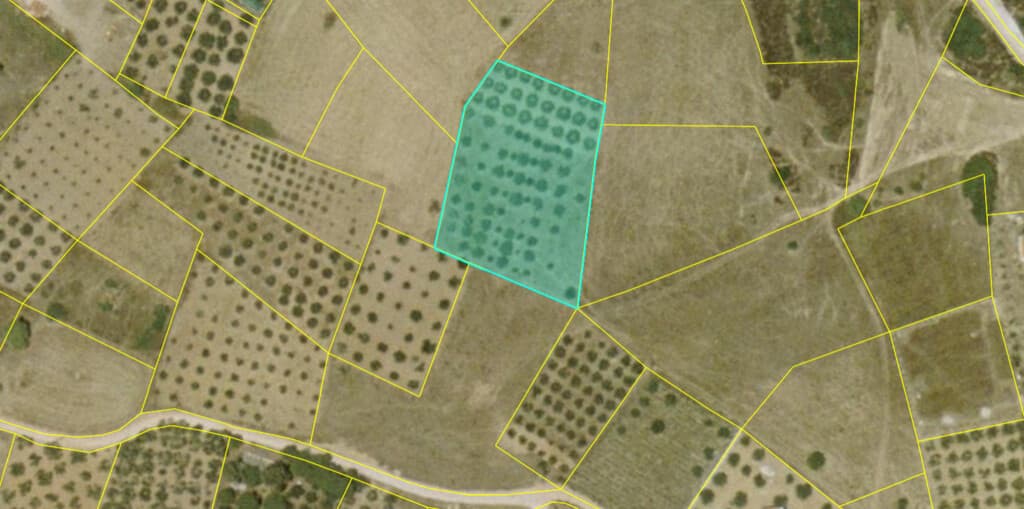 For Sale Land 4400 m² in Sithonia, Chalkidiki
