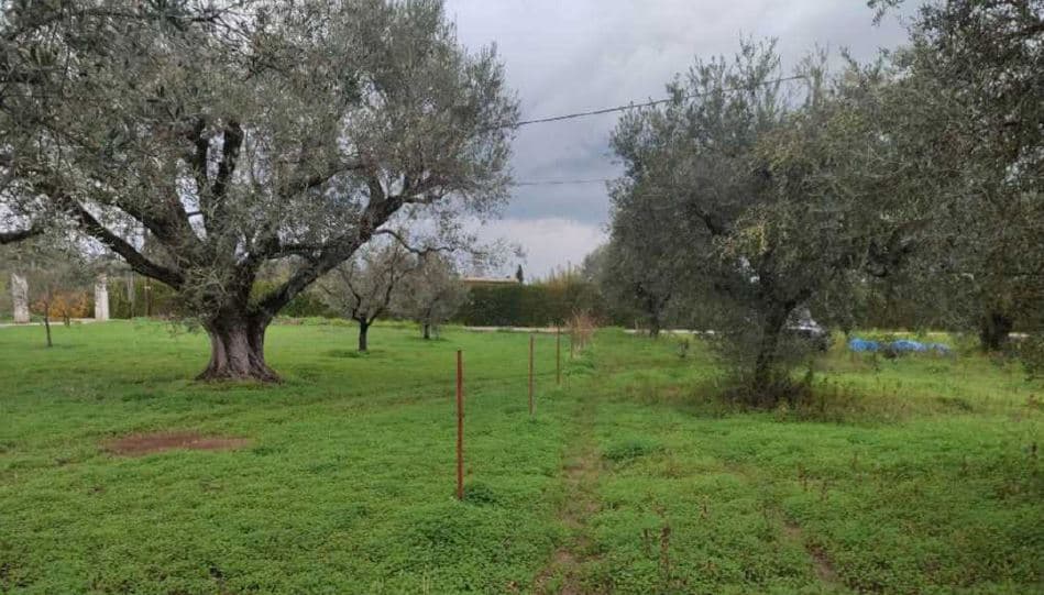 For Sale Land 1200 m² in Peloponnese