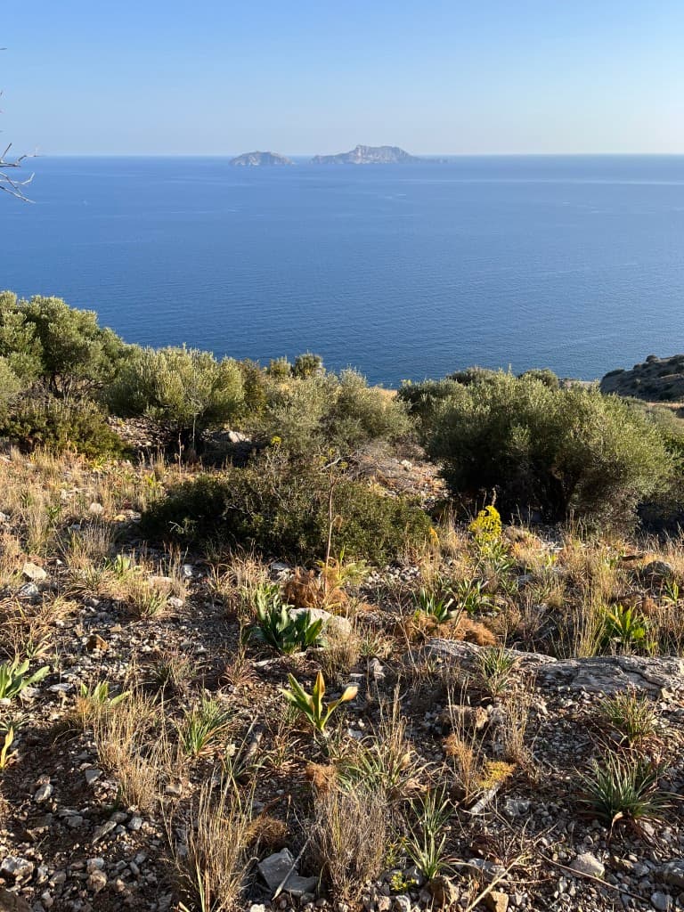 For Sale Land 4100 m² in Crete
