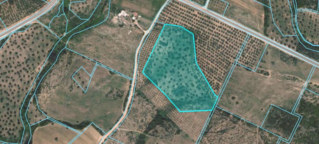 For Sale Land 22765 m² in Sithonia, Chalkidiki