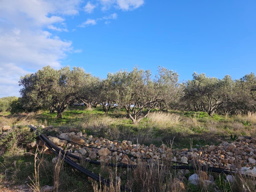 For Sale Land 6300 m² in Crete