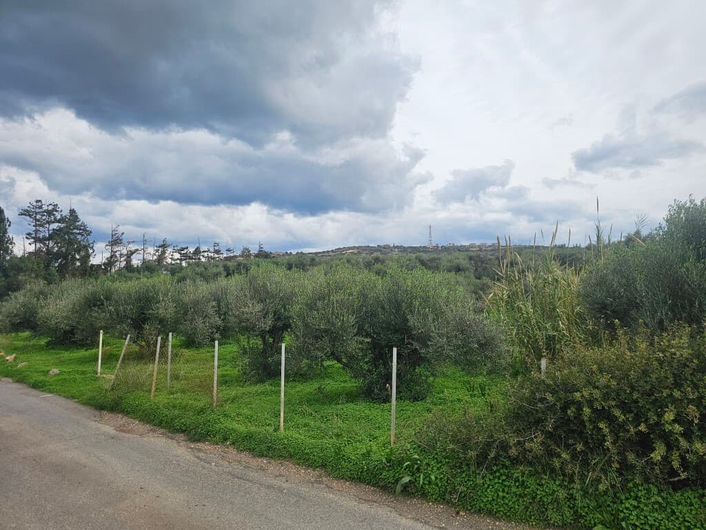 For Sale Land 8500 m² in Crete