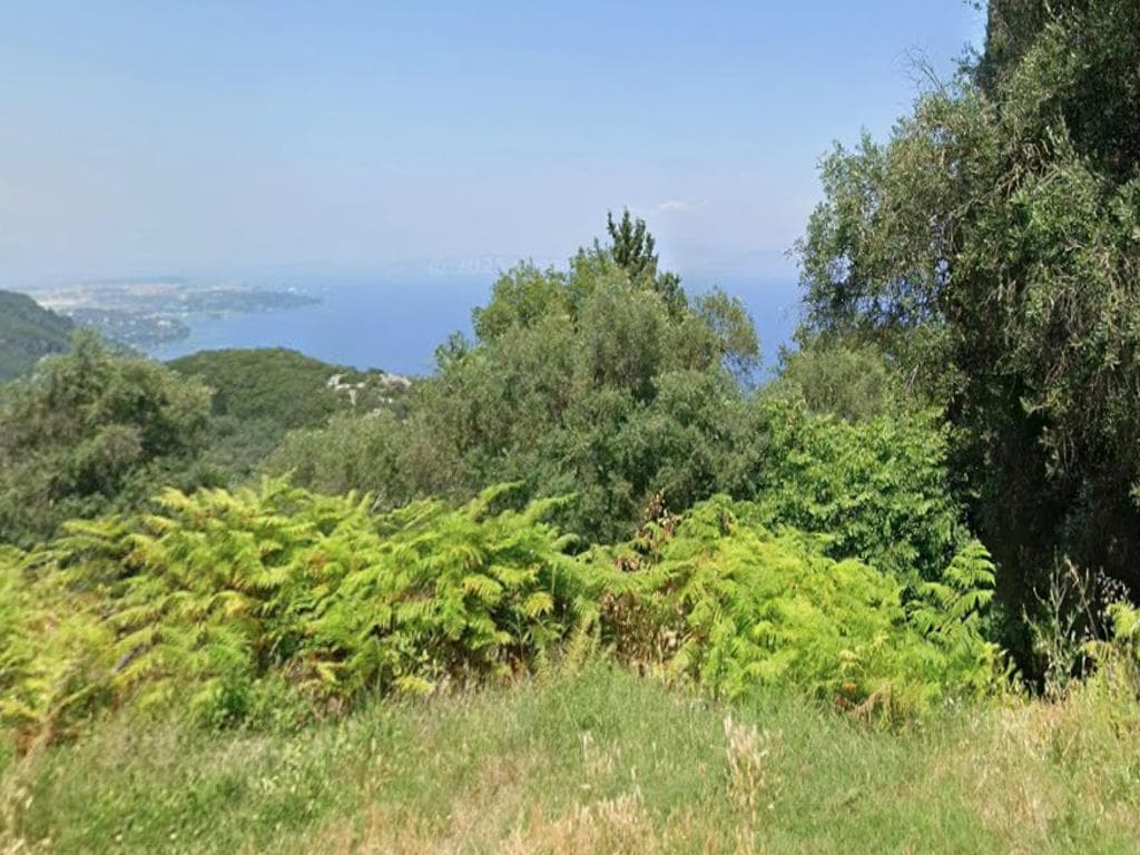 For Sale Land 2300 m² in Corfu