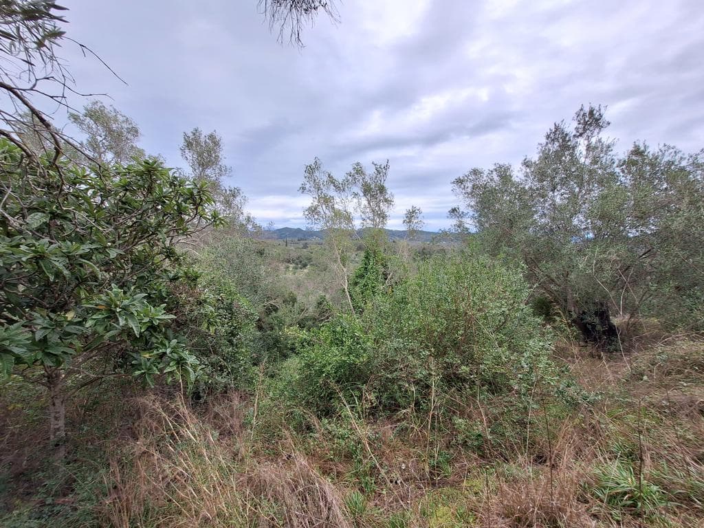 For Sale Land 5000 m² in Corfu