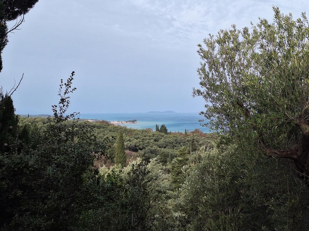 For Sale Land 1250 m² in Corfu