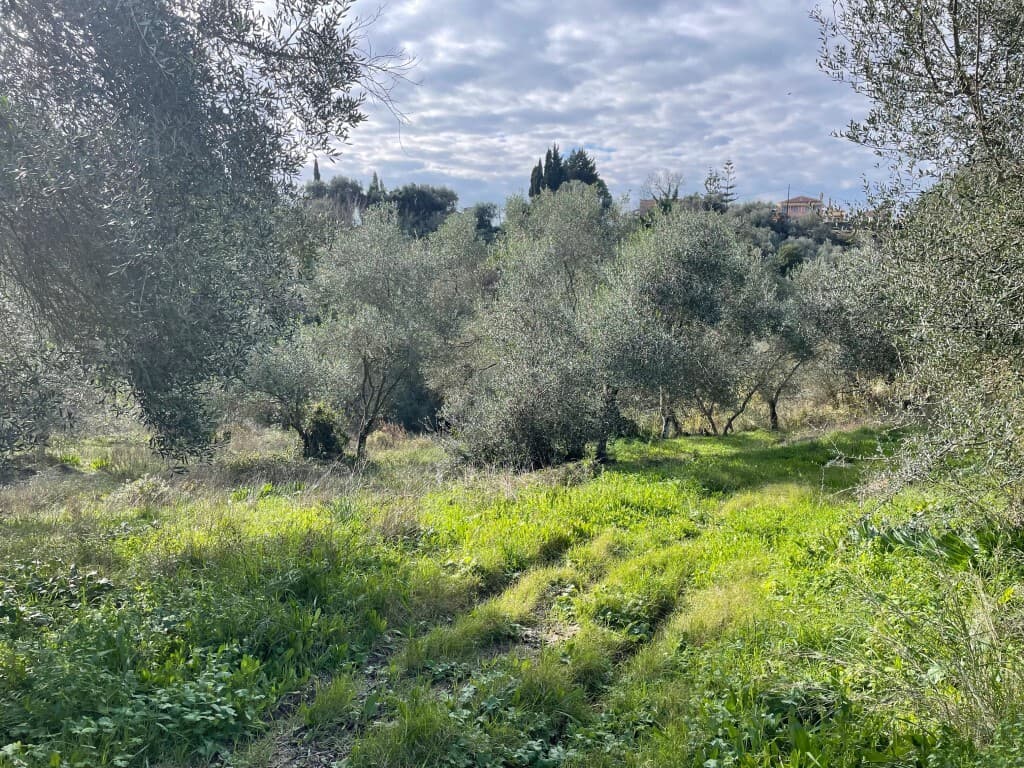 For Sale Land 7754 m² in Corfu