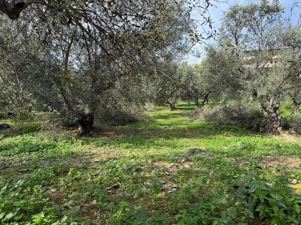 For Sale Land 1060 m² in Crete