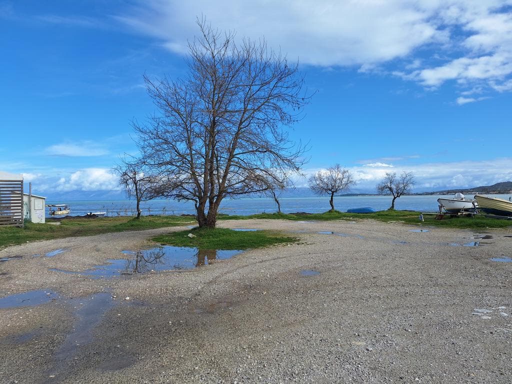 For Sale Land 5060 m² in Corfu