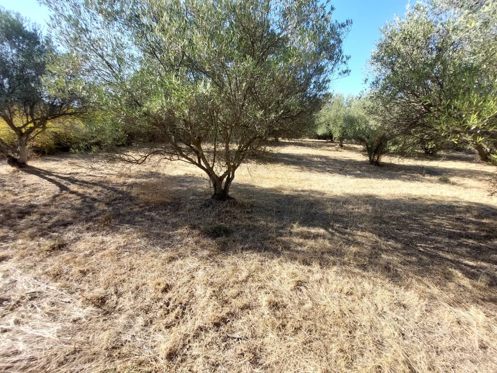For Sale Land 3500 m² in the suburbs of Thessaloniki