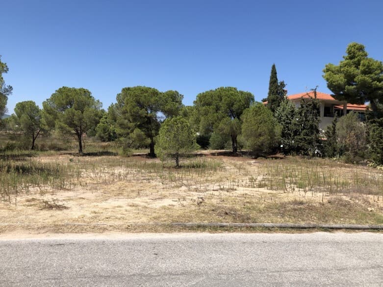 For Sale Land 2835 m² in Sithonia, Chalkidiki