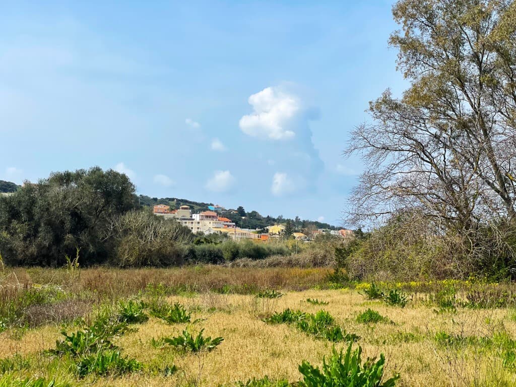 For Sale Land 7497 m² in Corfu