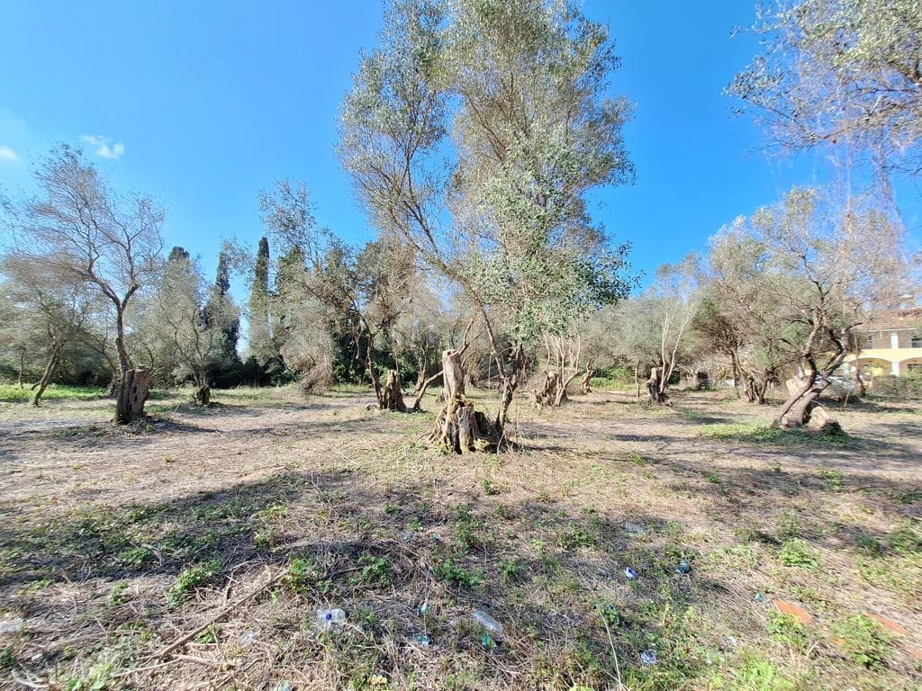 For Sale Land 3533 m² in Corfu
