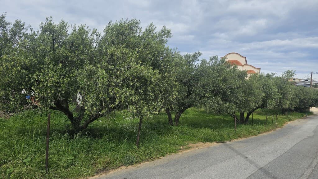 For Sale Land 724 m² in Crete