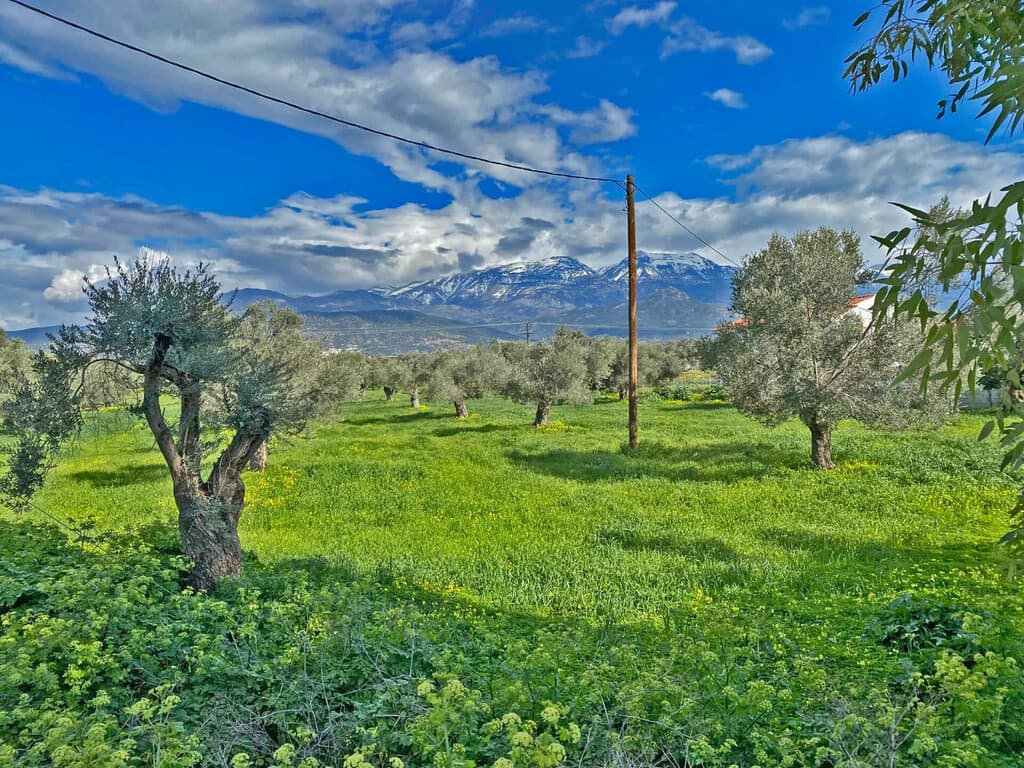 For Sale Land 14000 m² in Crete