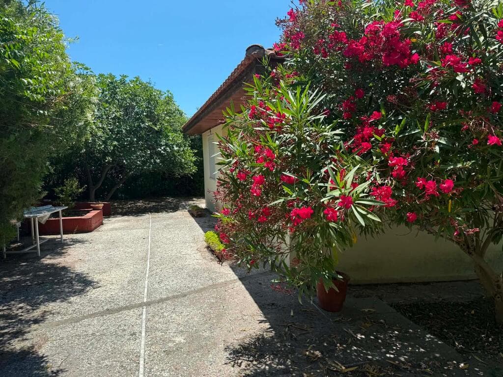 For Sale Detached house 65 m² in Chalkidiki