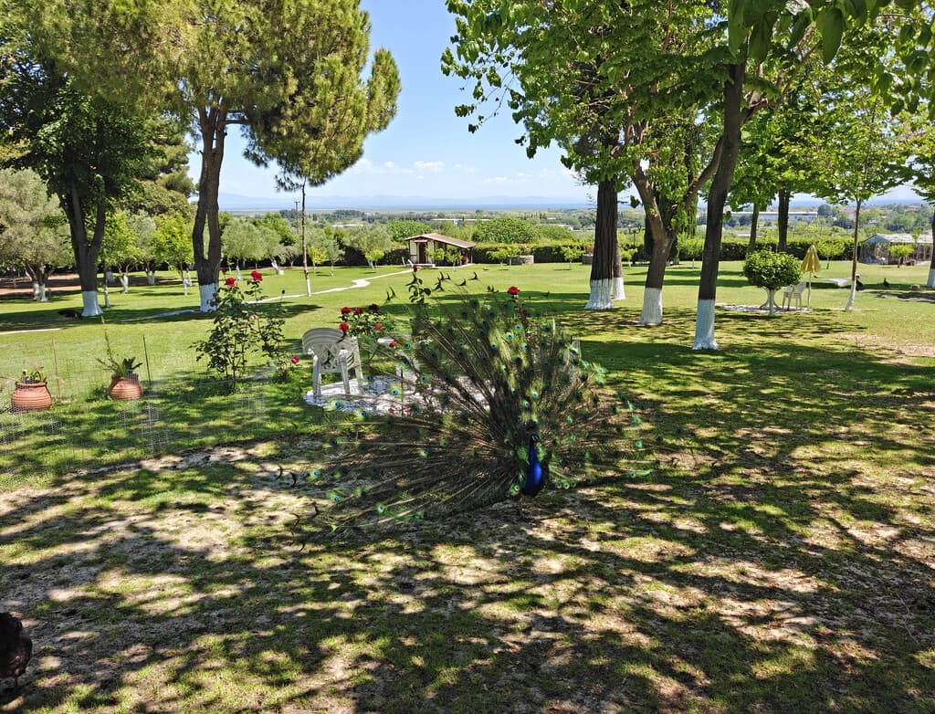 For Sale Detached house 285 m² on the Olympic Coast