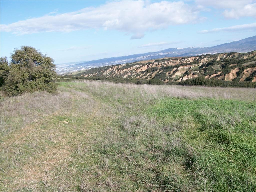For Sale Land 14500 m² in Thessaloniki