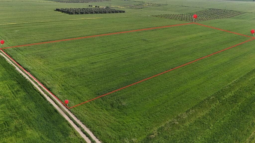 For Sale Land 14600 m² in Chalkidiki
