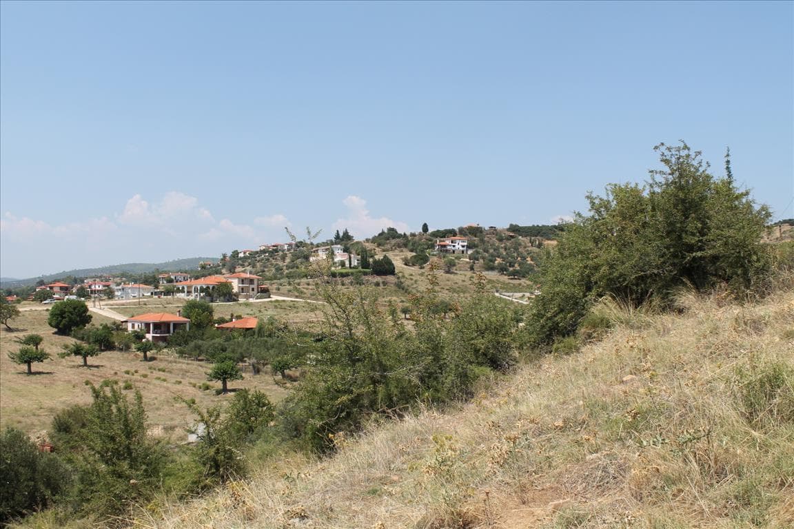 For Sale Land 8000 m² in Sithonia, Chalkidiki