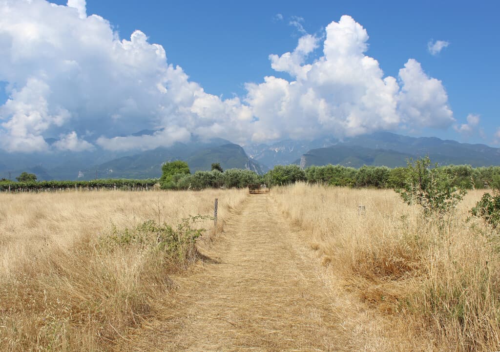 For Sale Land 13550 m² on the Olympic Coast