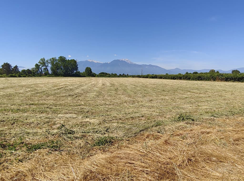 For Sale Land 5968 m² on the Olympic Coast