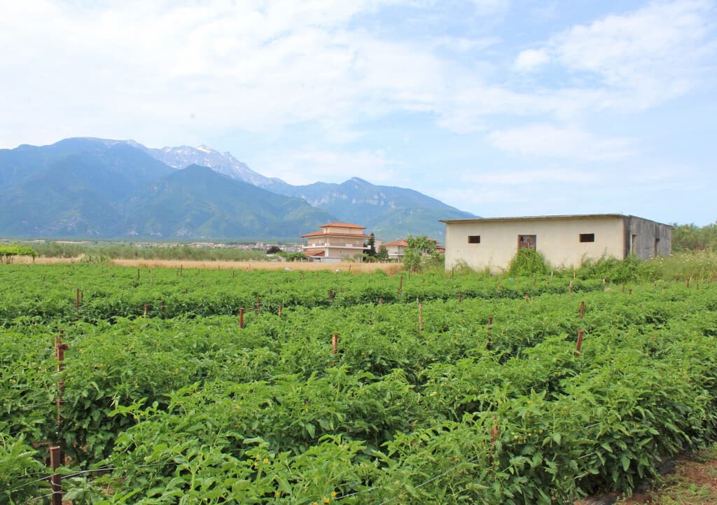 For Sale Land 8500 m² on the Olympic Coast