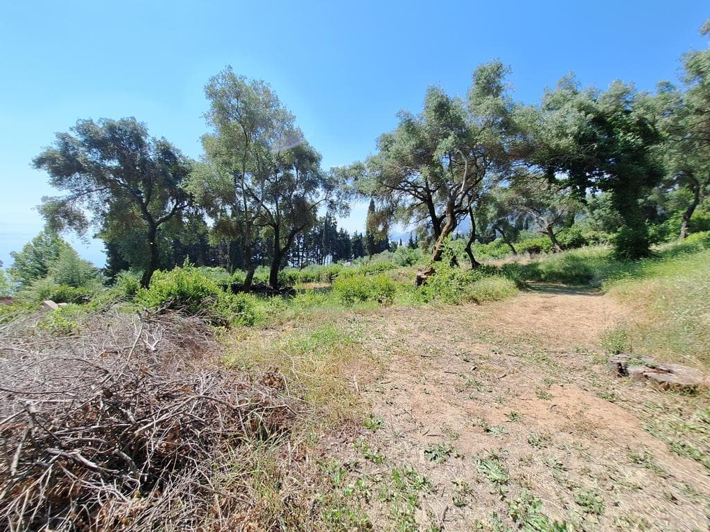 For Sale Land 7000 m² in Corfu