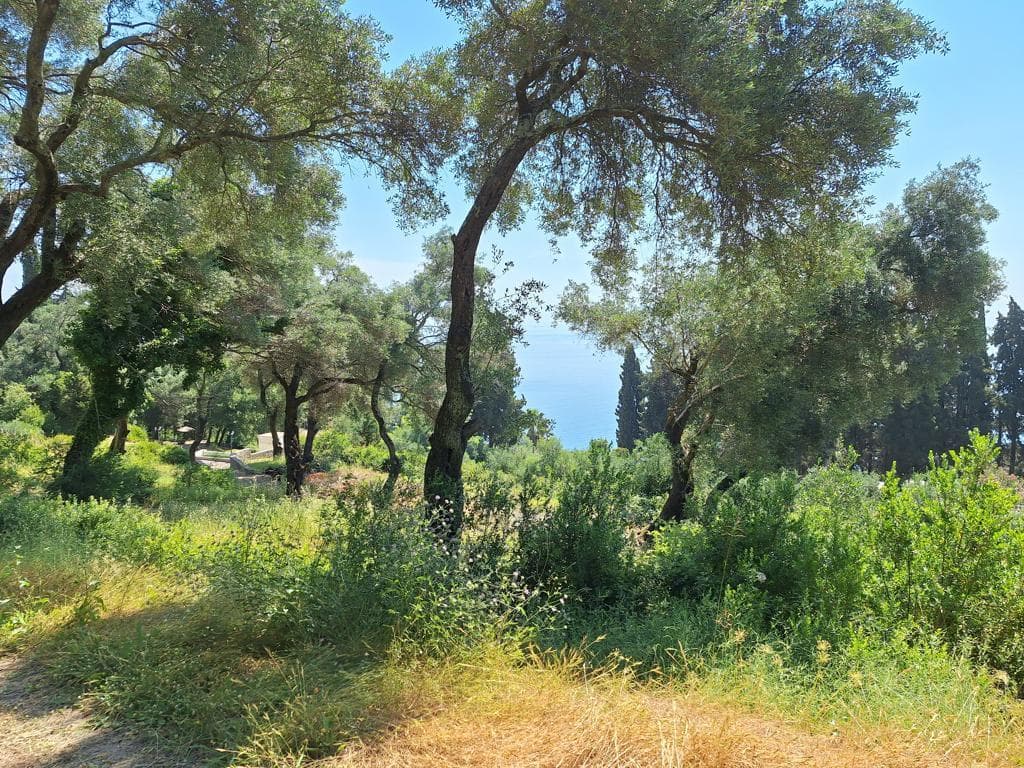 For Sale Land 2774 m² in Corfu