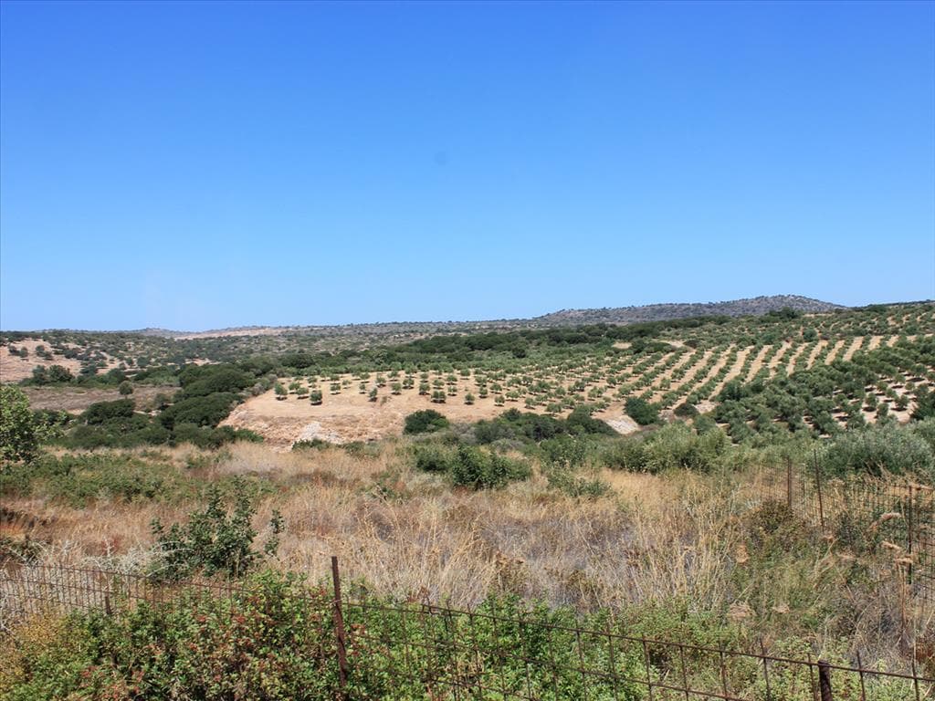 For Sale Land 6800 m² in Crete