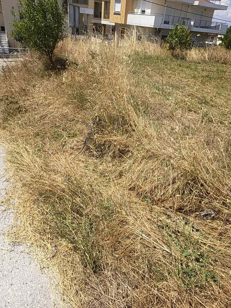 For Sale Land 1200 m² in Thessaloniki