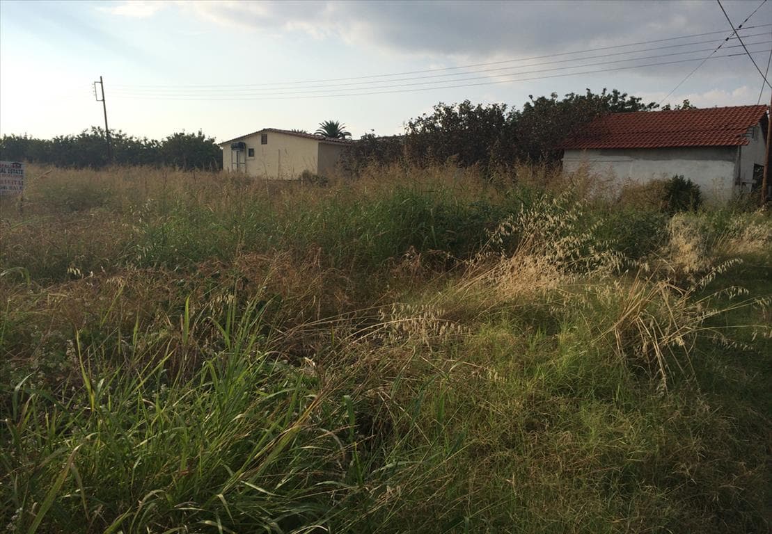 For Sale Land 6930 m² in Kassandra, Chalkidiki