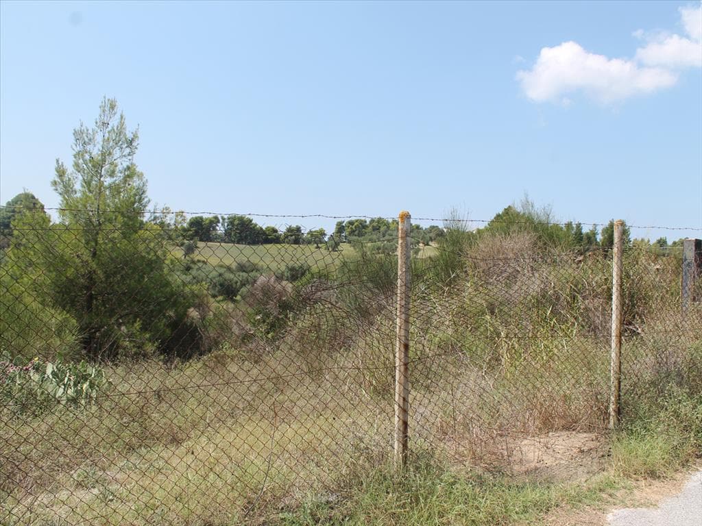 For Sale Land 4025 m² in Kassandra, Chalkidiki