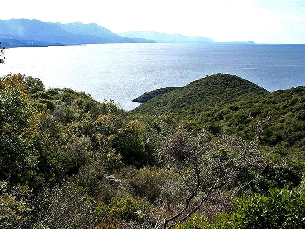 For Sale Land 16200 m² in Western Peloponnese