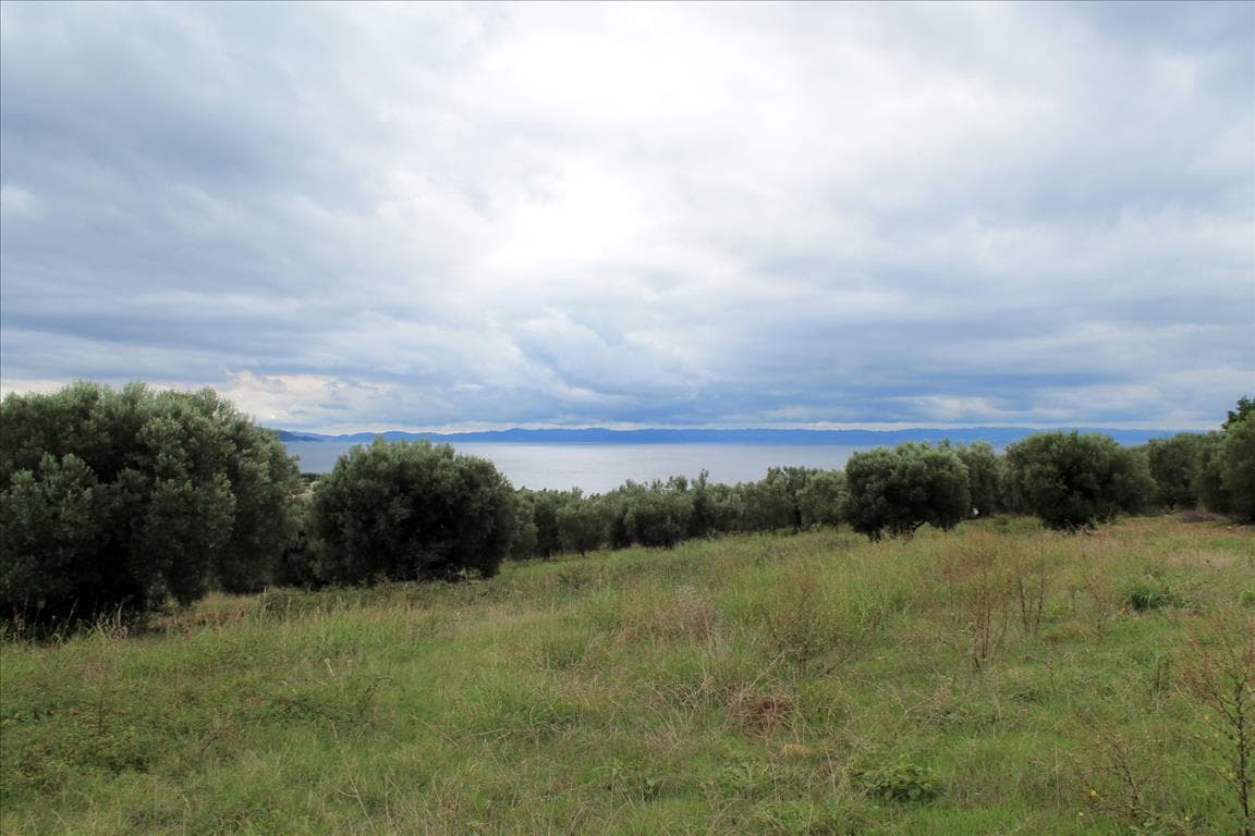 For Sale Land 16500 m² in Sithonia, Chalkidiki