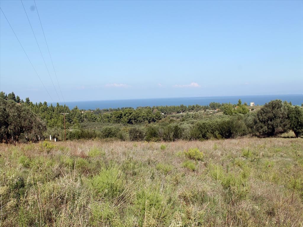 For Sale Land 22500 m² in Kassandra, Chalkidiki