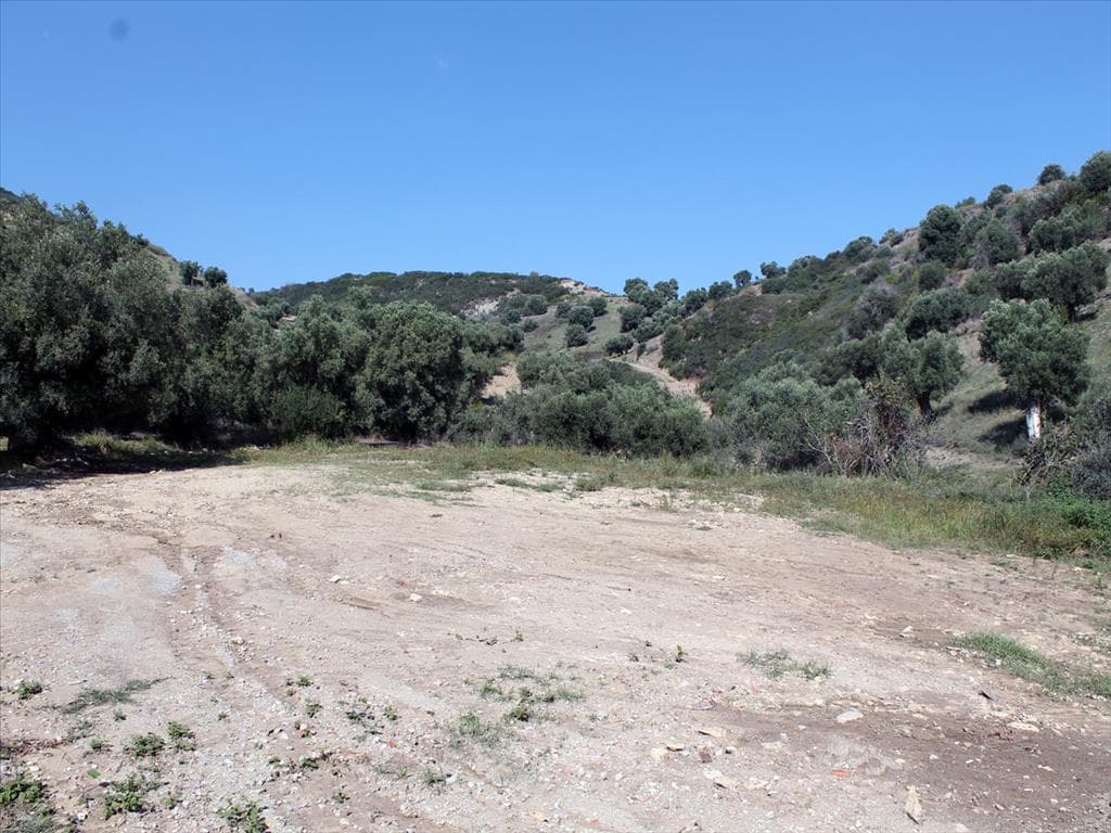 For Sale Land 3000 m² in Kassandra, Chalkidiki