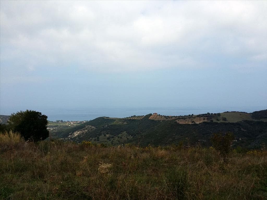 For Sale Land 15000 m² in Kassandra, Chalkidiki