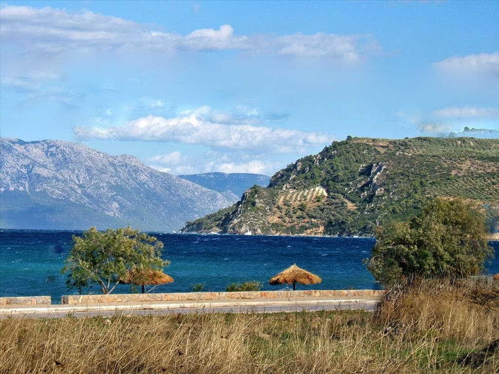 For Sale Land 1525 m² in central Greece