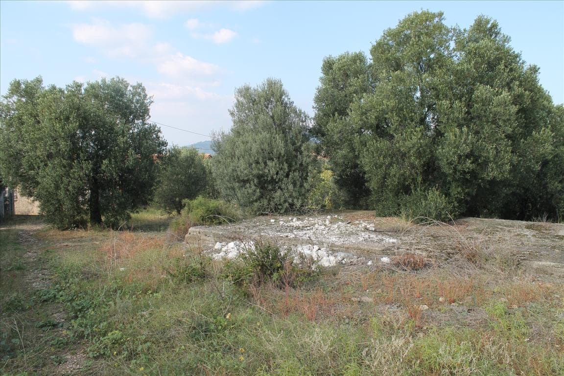 For Sale Land 3659 m² in Sithonia, Chalkidiki