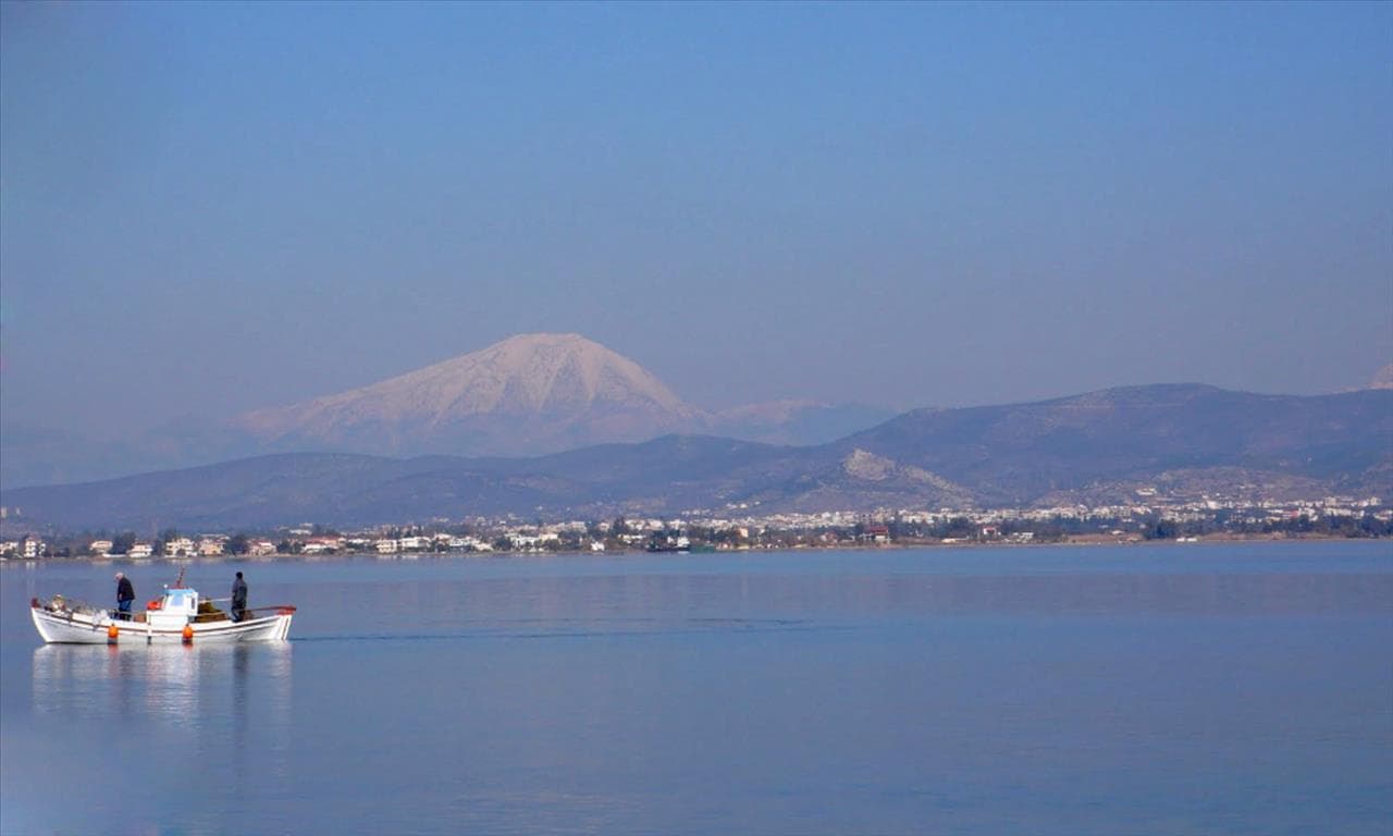 For Sale Land 12000 m² on the Euboea island