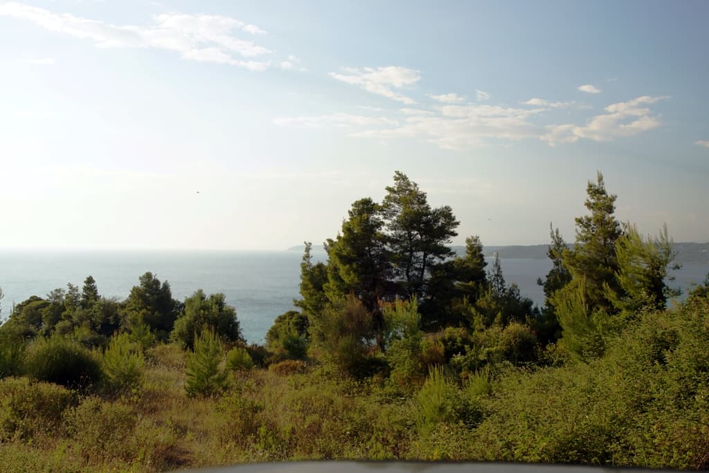 For Sale Land 7700 m² in Kassandra, Chalkidiki